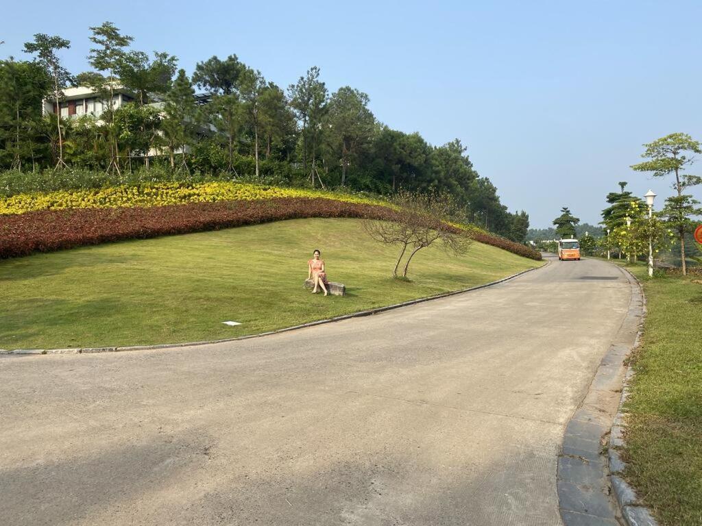 Flamingos Dai Lai Resort - Villa Tu Nhan Co Bbq ハノイ市 エクステリア 写真